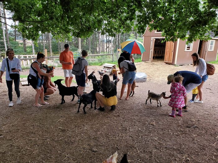 Visitors petting farm animals at Seiling Family Farm