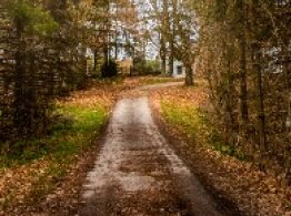 Walking trail through the forest at Seiling Family Farm